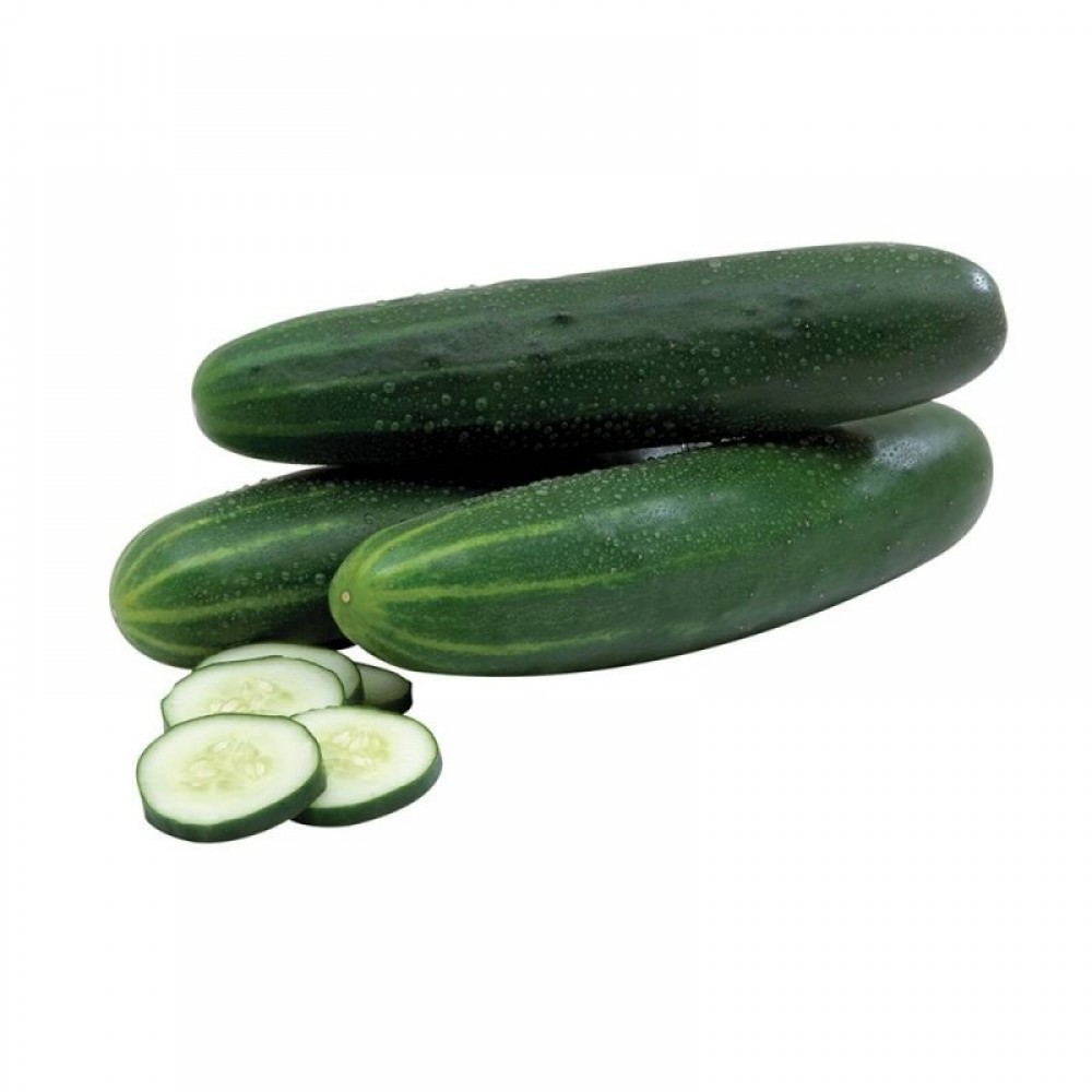 Pepino Ensalada Und