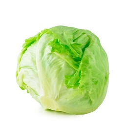 Lechuga Escarola Und